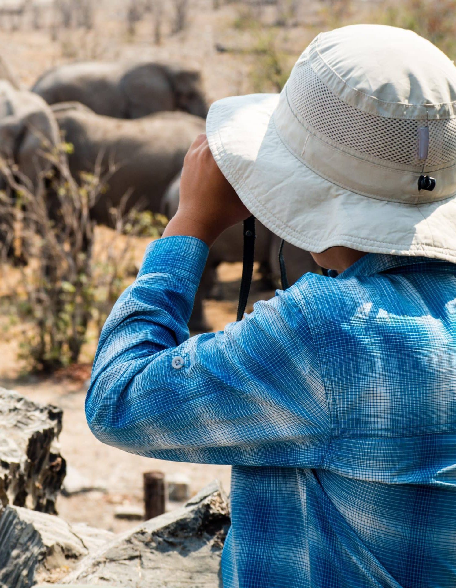 Child,Viewing,Elephants,With,Binoculars,From,Watering,Hole,Viewing,Platform