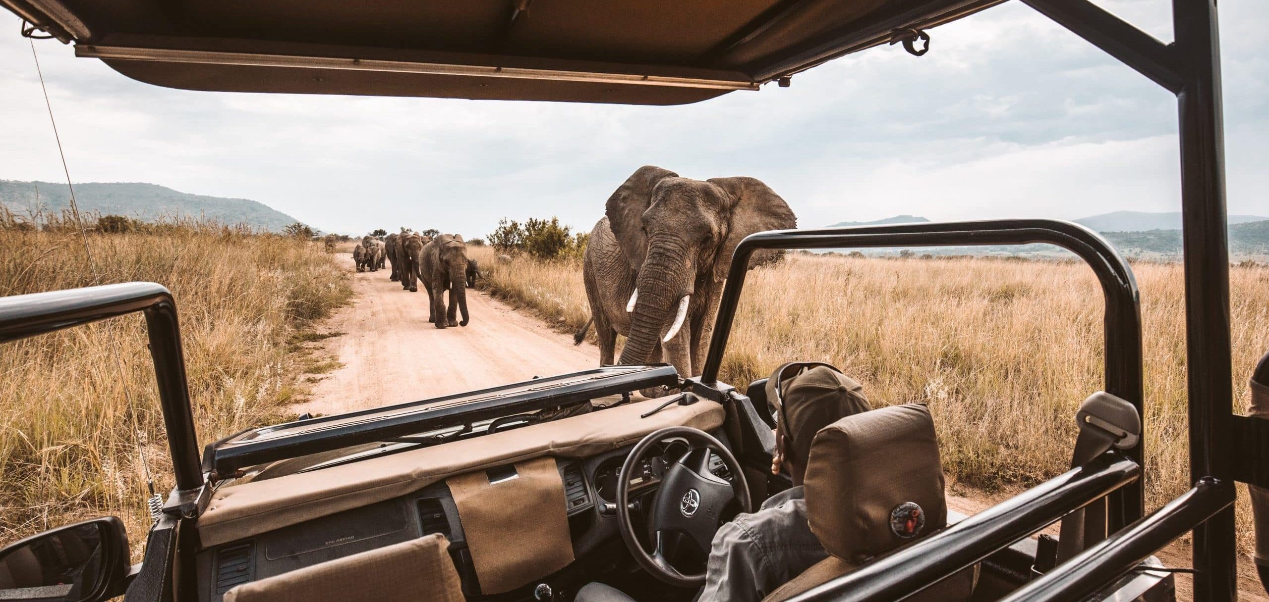 véhicule 4x4 safaris, les indispensables