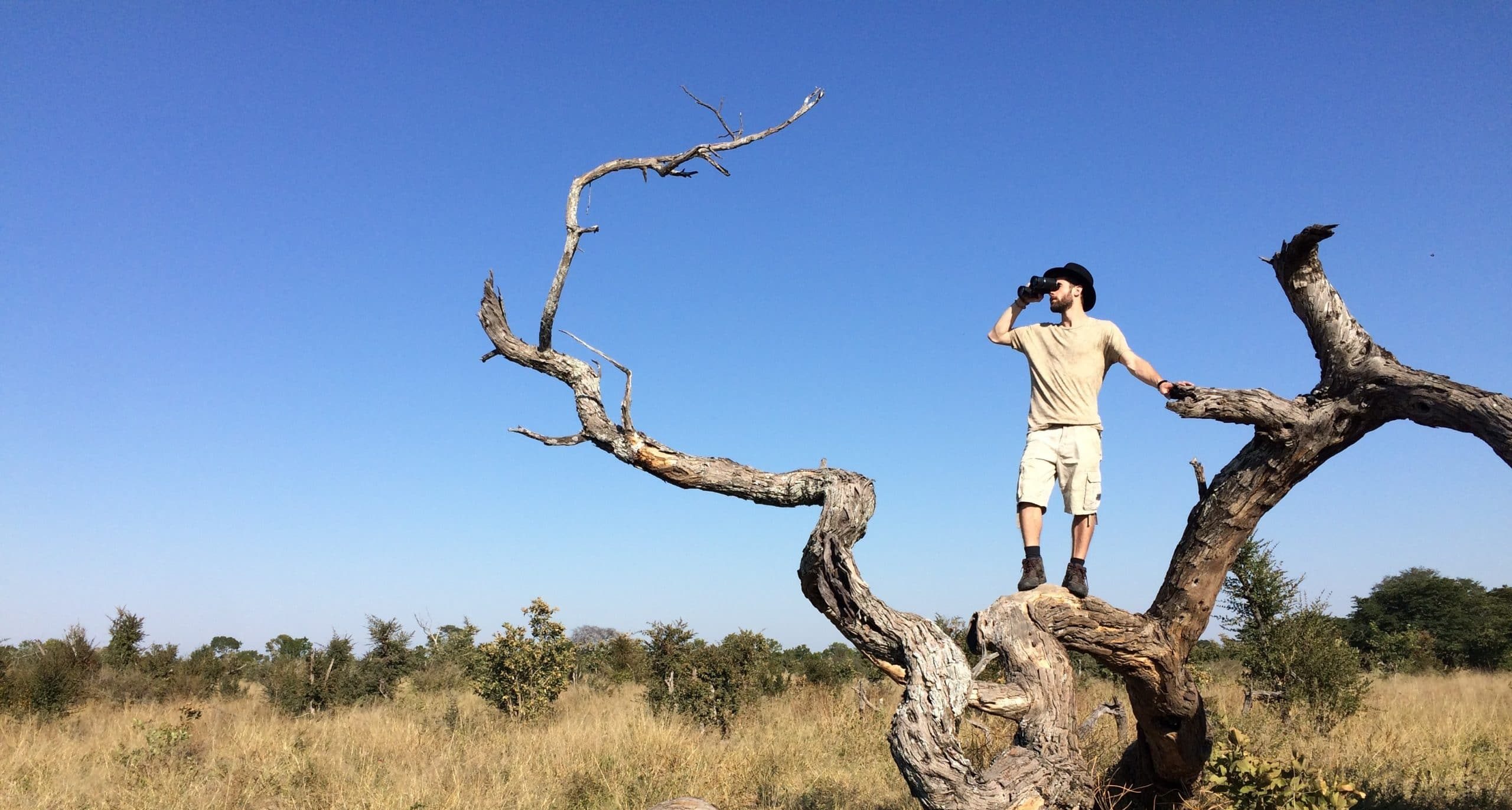 Récit de voyage au Zimbabwe Robin observation