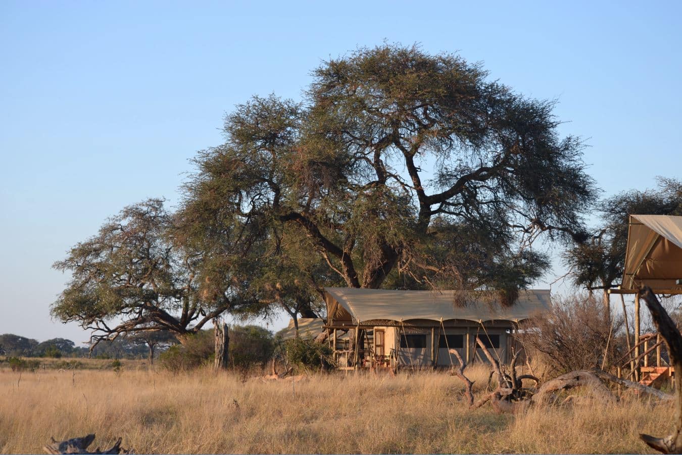 lodge savane Récit de voyage au Zimbabwe