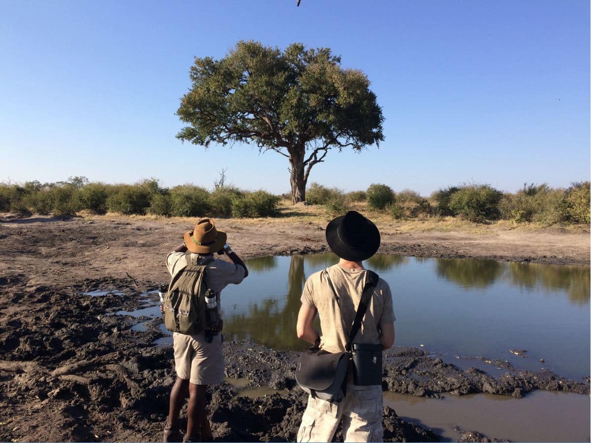 safari a pied guide Robin Récit de voyage au Zimbabwe