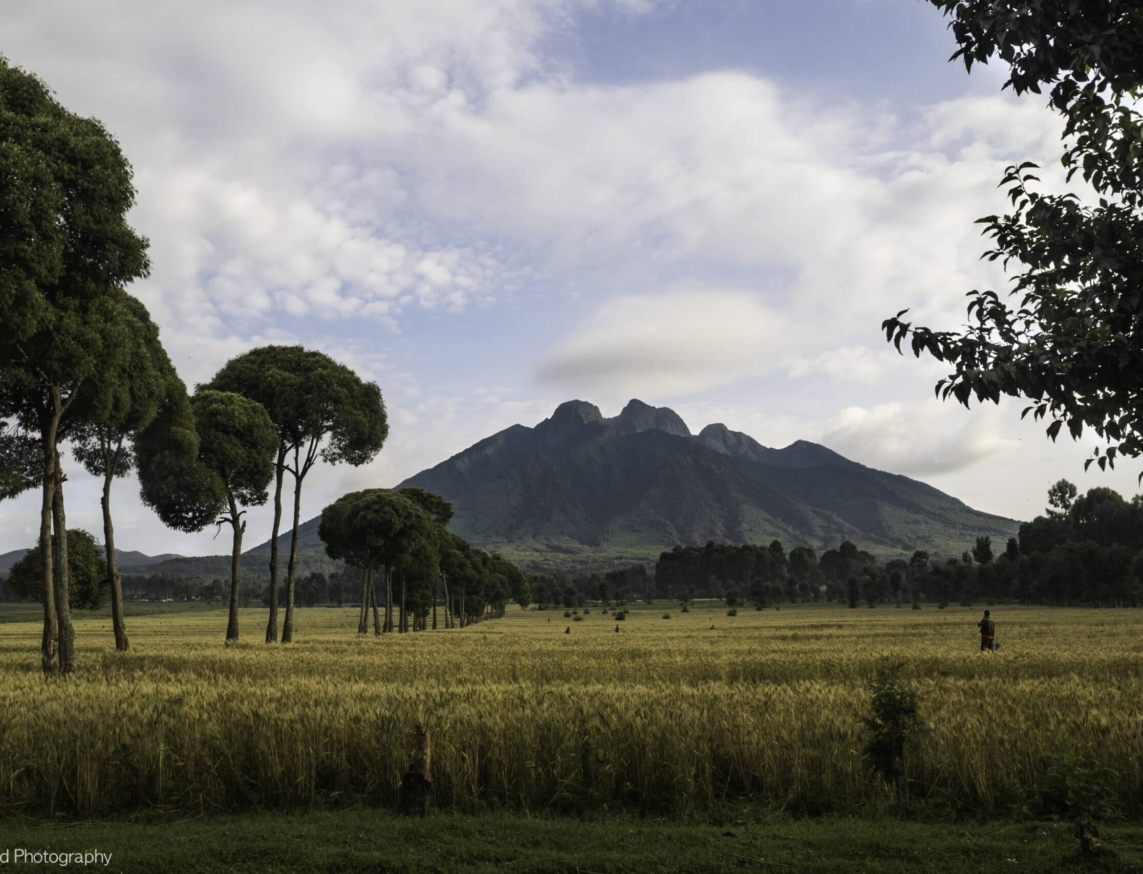 parc national des volcans