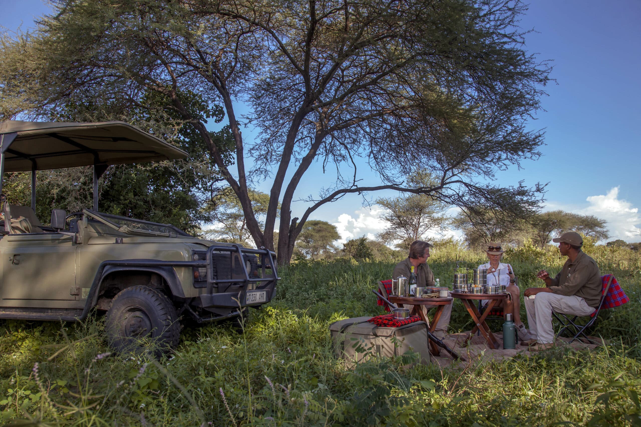 Safari en 4x4 avec pique-nique pour l'observation de la nature dans la savane près d'un lodge en Tanzanie.