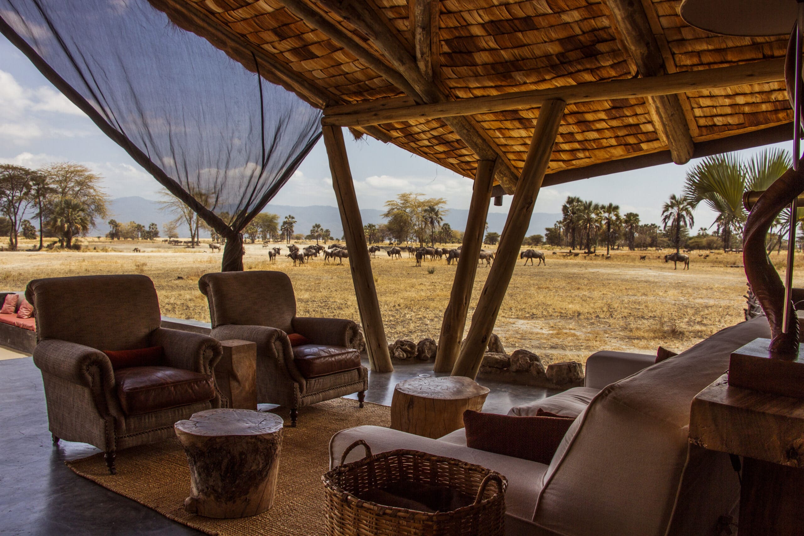 Salon ouvert dans un lodge hôtel en pleine nature avec vue sur des buffles en Tanzanie.