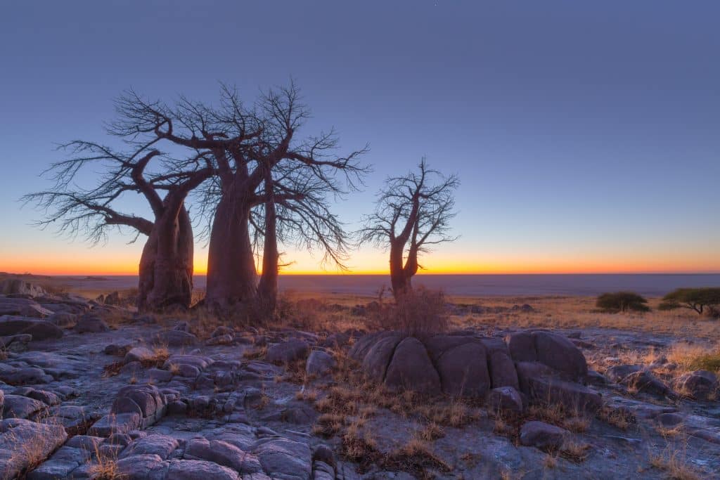 Blue,Colours,Before,Sunrise