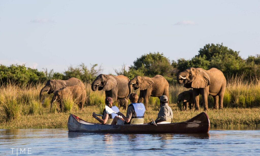 Chongwe canoe zambeze lower zambezi elephants savane safari lac zambie