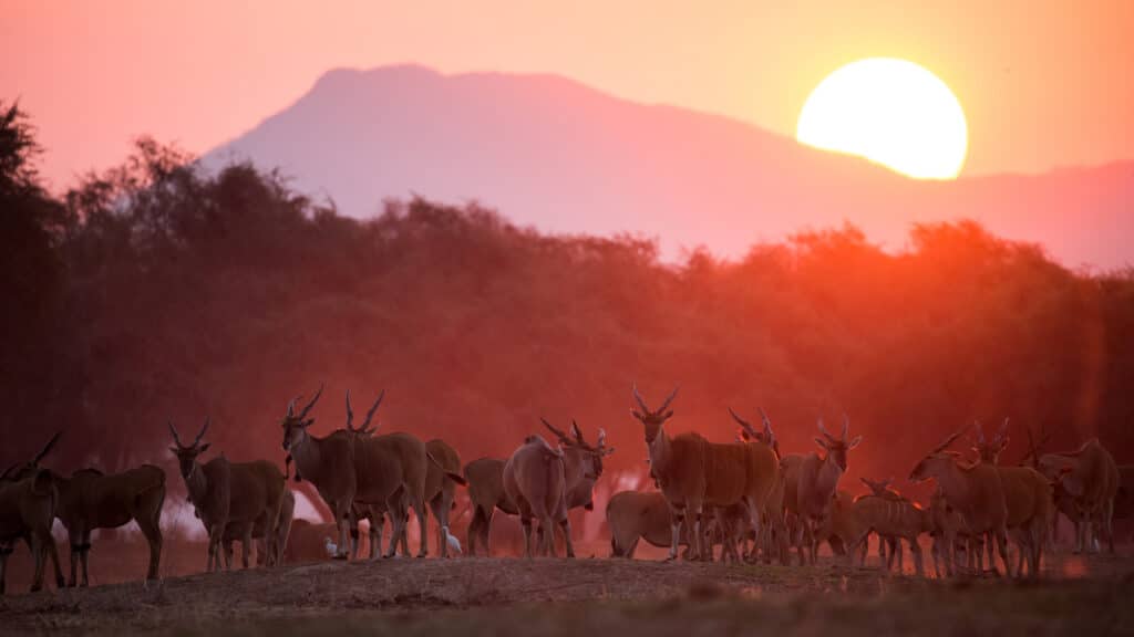 Coucher de soleil sur les montagnes au Zimbabwe.