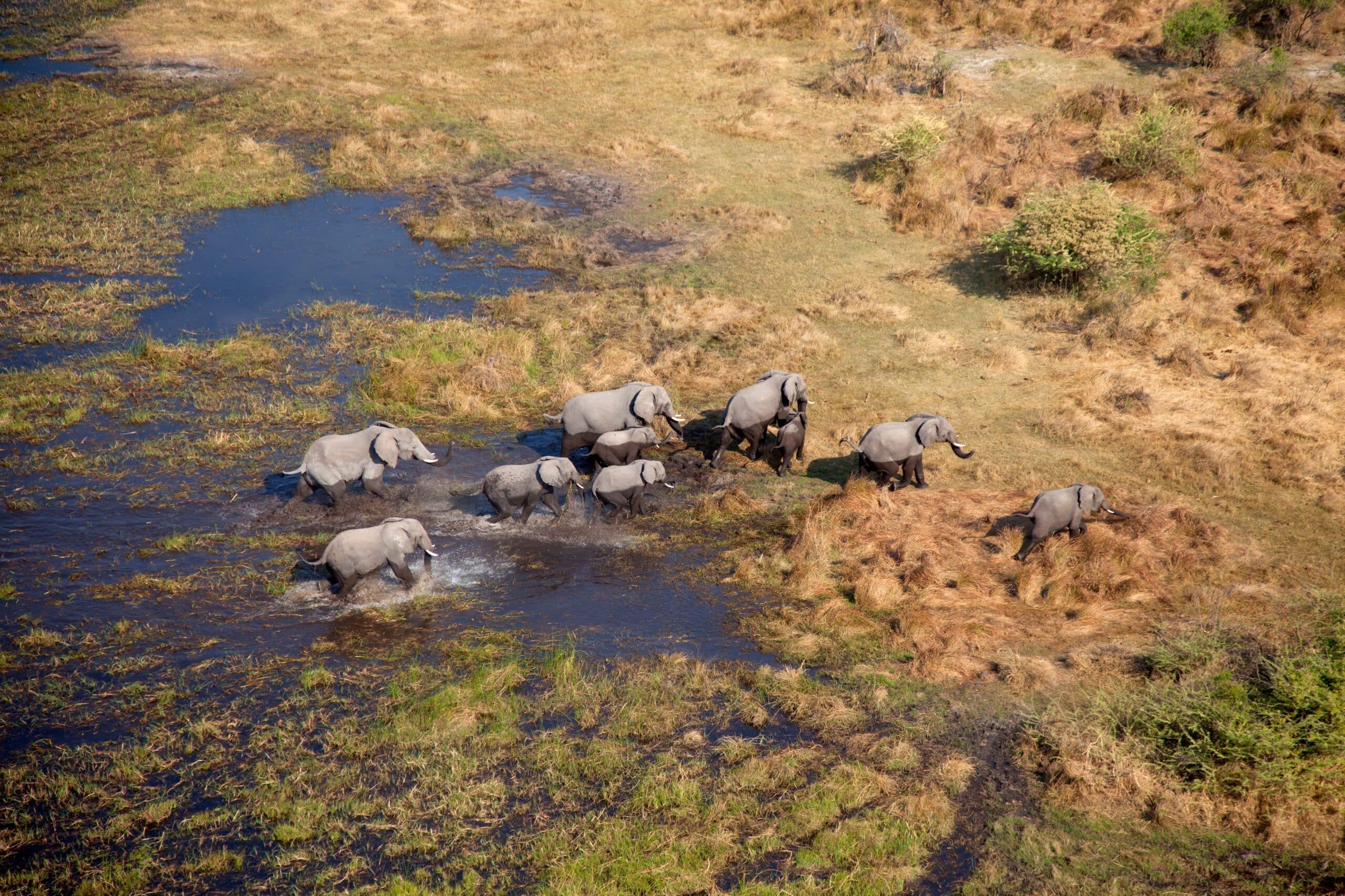 Botswana