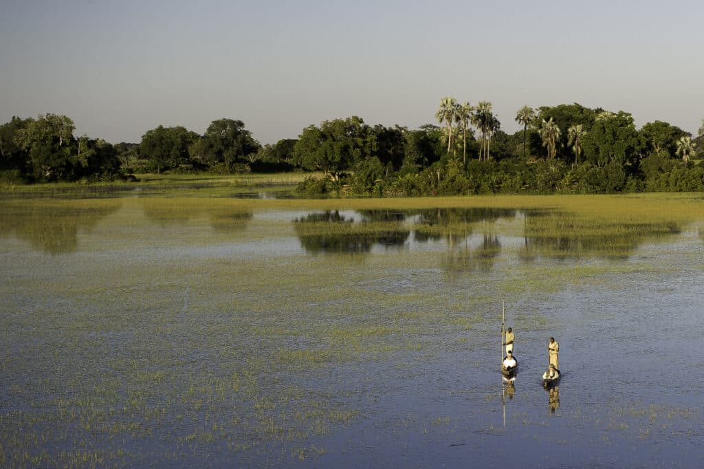 Paysages d'un fleuve lors d'une traversée en Mokoro depuis le Tubu Lodge au Botswana.