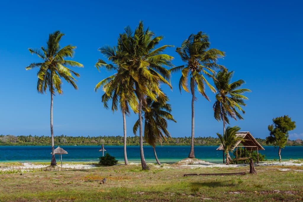 Palm,Beach,Of,Mafia,Island