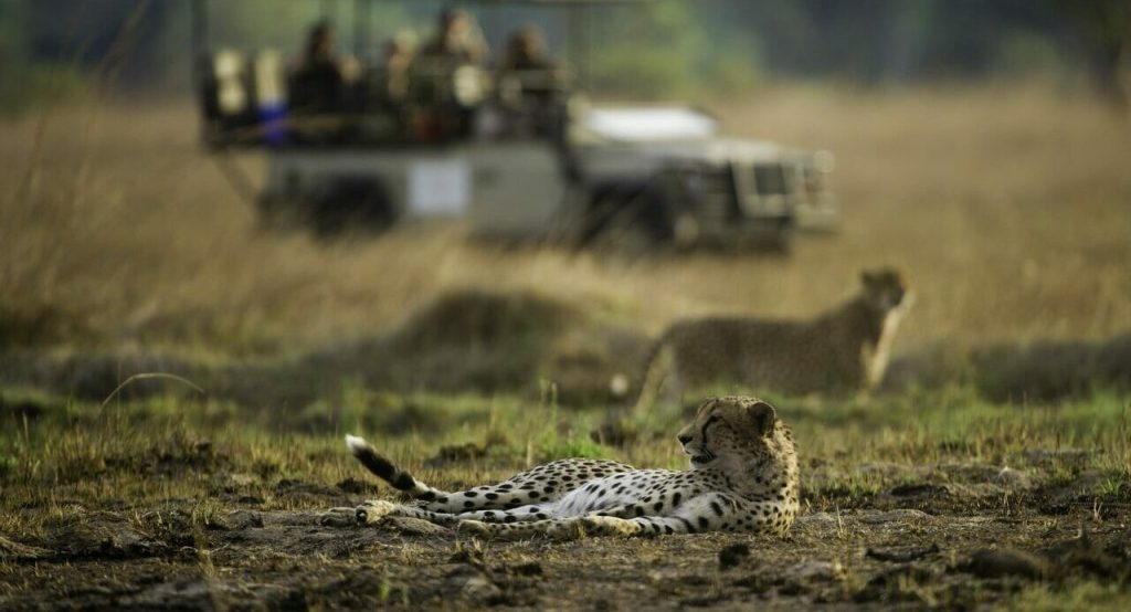 Safari 4x4 zambie busanga plains