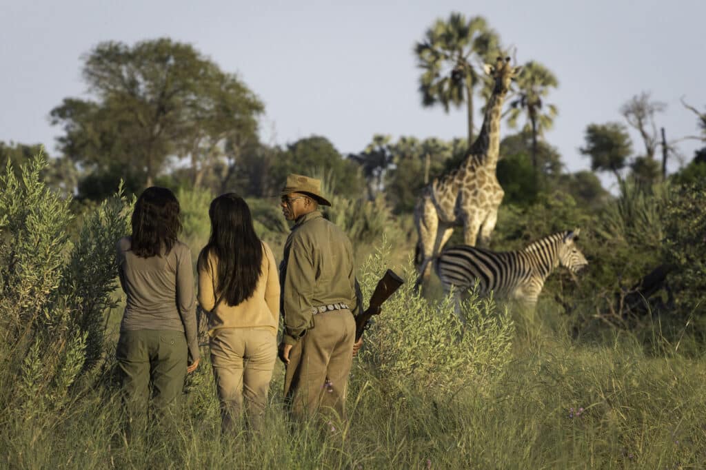 Safari à pied au Botswana