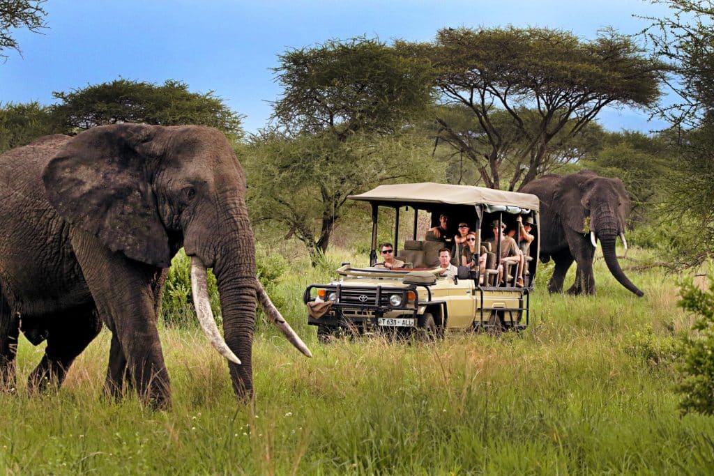 Safari continental rencontre du Big 5 Zanzibar à Tanzanie