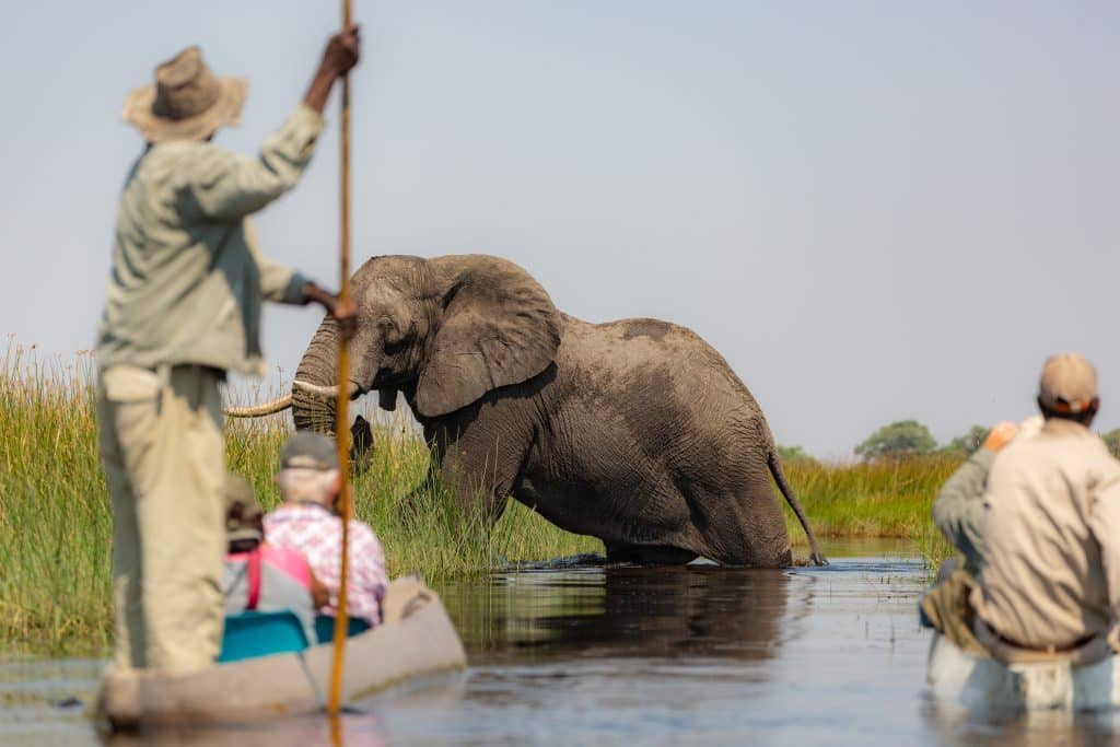Exiting,The,Okavango,Delta,In,Botswana,By,Mokoro