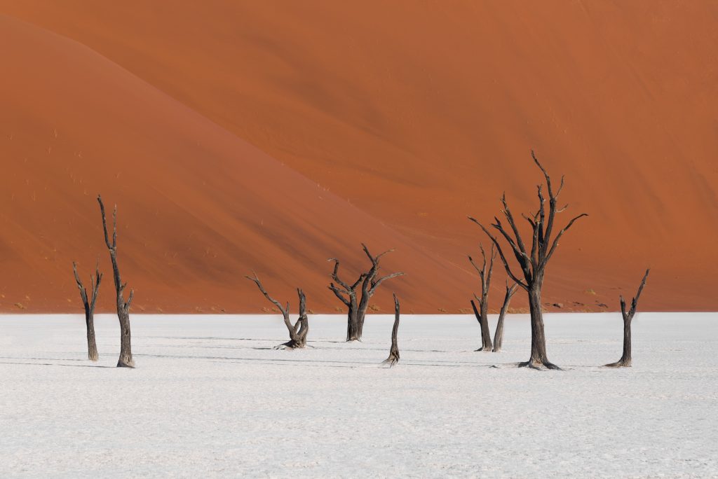 Vallée des arbres morts dans le désert du Sossusvlei en Namibie