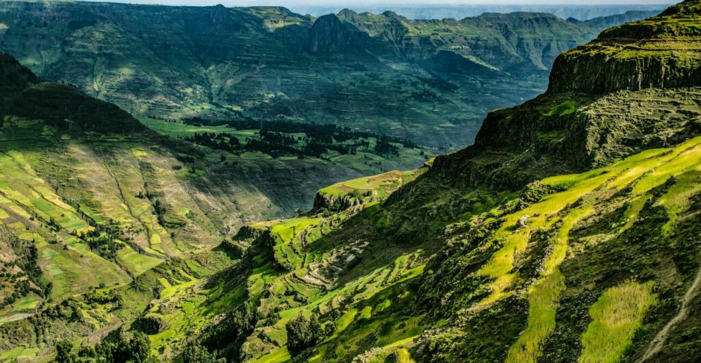 Hauts plateaux d'Ethiopie, terrasses agricoles et végétation verdoyante.