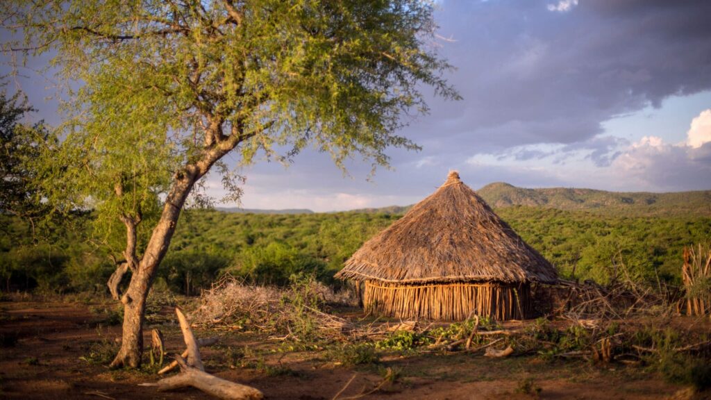 Hutte traditionnelle de la vallée de l'Omo en Ethiopie.