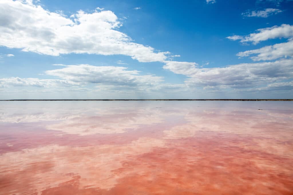 A,Beautiful,Pink,Salt,Lake,With,Clouds,Reflecting,In,It.
