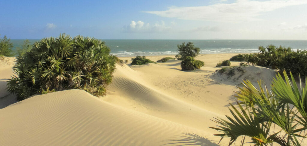 Indian,Ocean,Beach,Near,Lamu,Town,In,Kenya.,Savannah.,Wild