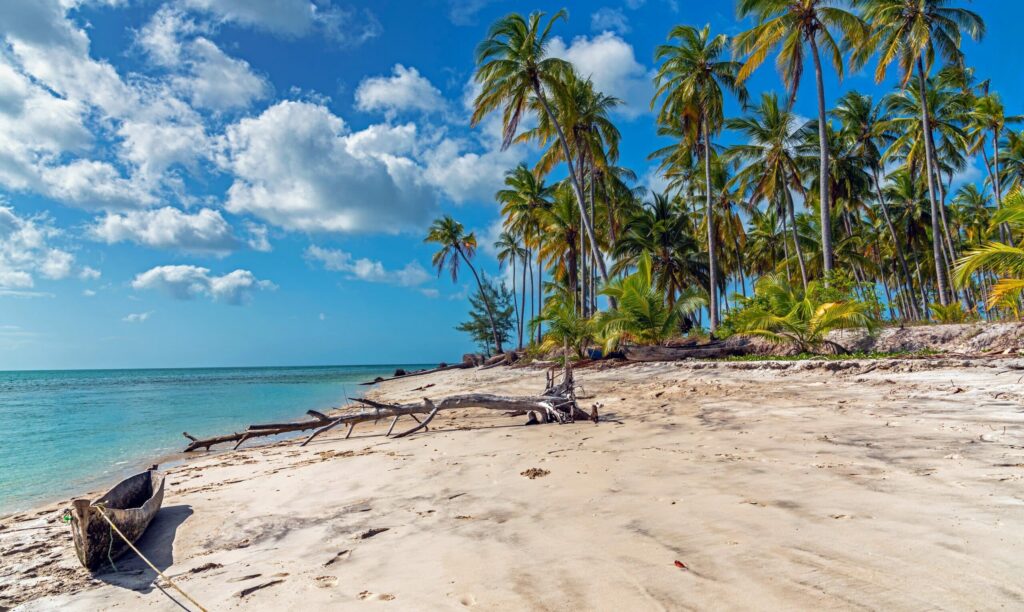 Plage déserte sur un ilot préservé près de l'île de Mafia.