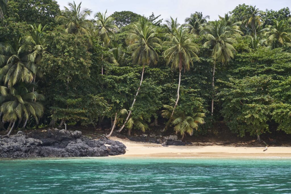 plage mer turquoise foret palmiers nature sao tome principe