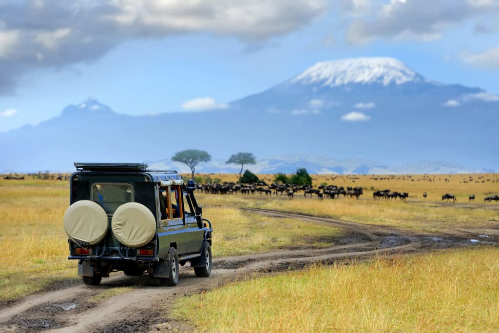 safari x parc national amboseli kilimandjaro