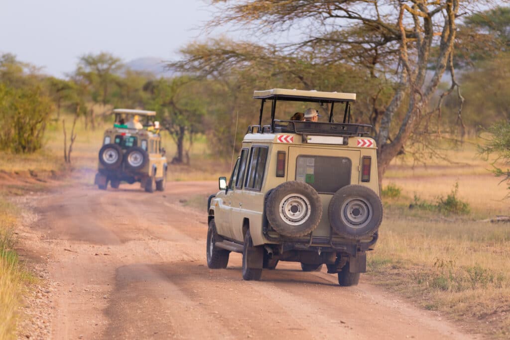Open,Roof,4x4,Safari,Jeeps,On,African,Wildlife,Safari.