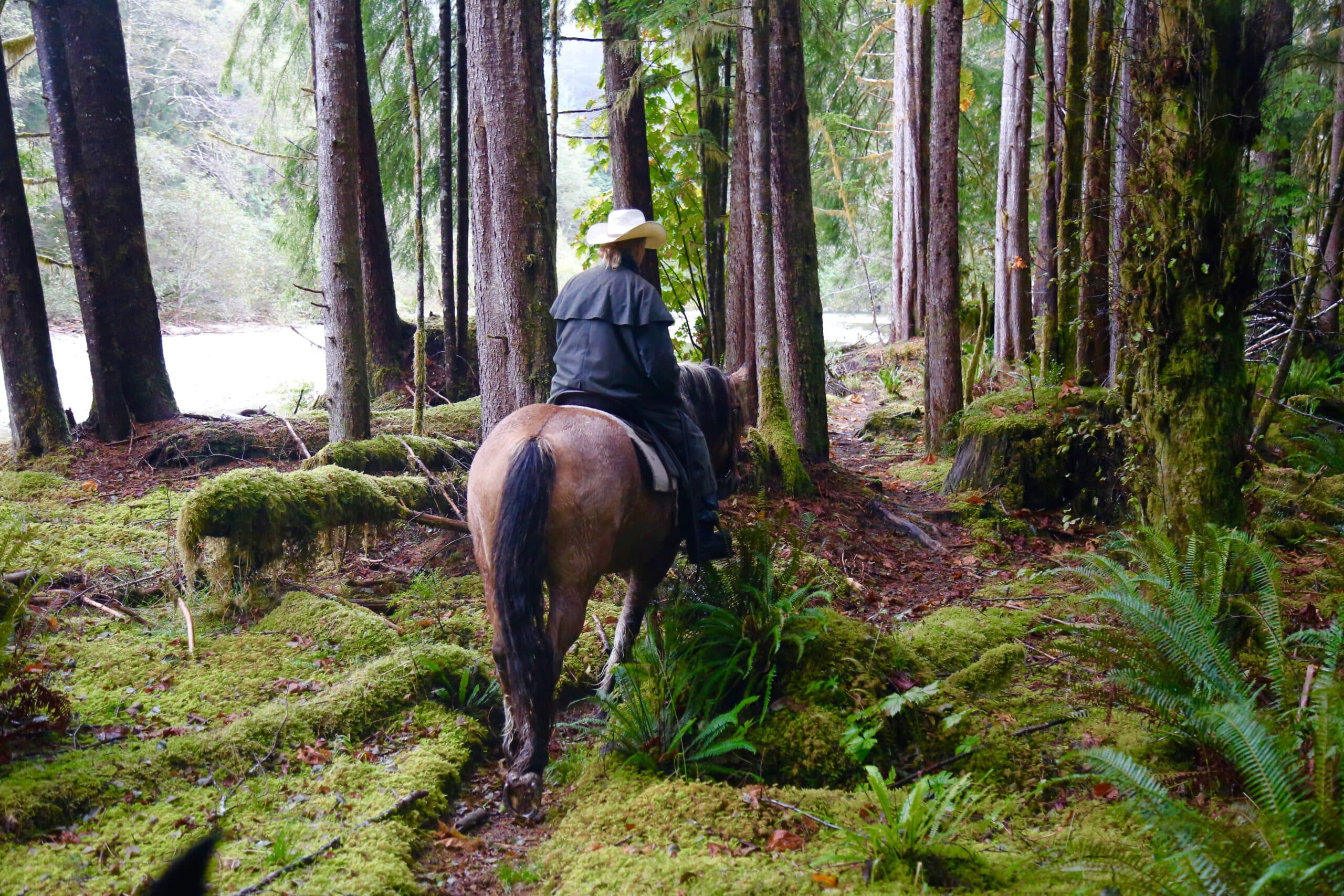 Sortie à cheval dans la forêt depuis le Clayoquot Wilderness Resort au Canada, un écolodge.