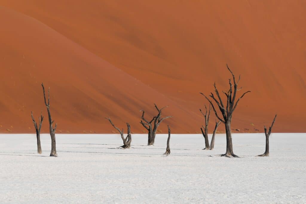 Deadvlei dans le désert du sossusvlei en Namibie