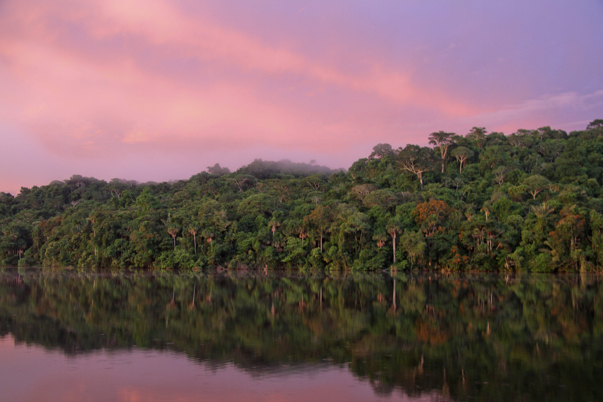 Aventure amazonienne