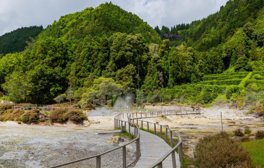Fumeroles lagoa das Furnas calderas volcaniques sud Sao Miguel Acores