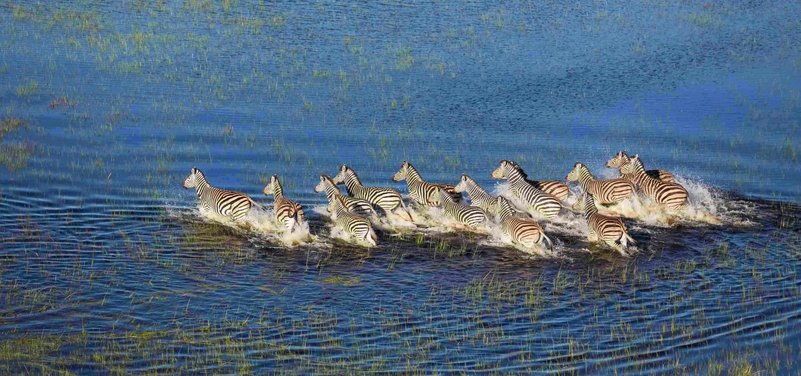 De l’Okavango au Kalahari