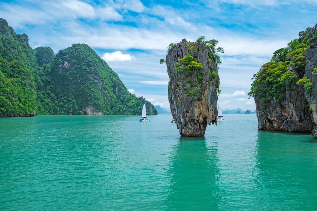 Green,Paradise