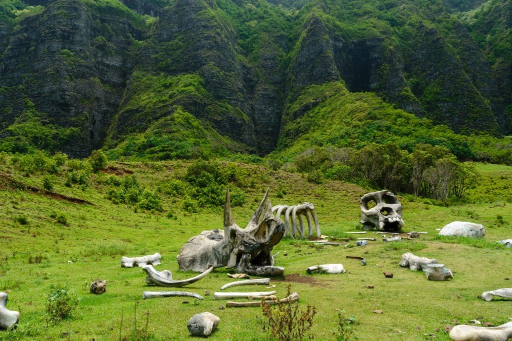 Kongs,Boneyard,At,The,Kualoa,Ranch,Film,Location,,Oahu,,Hawaii,