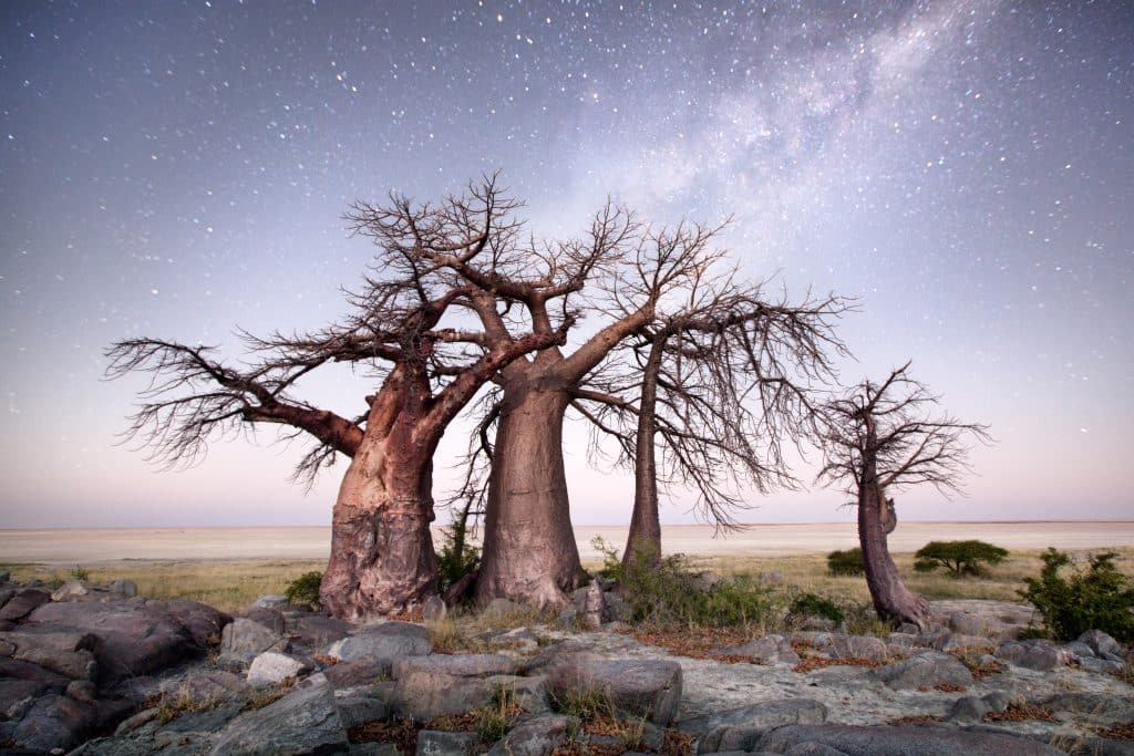 Kubu,Island,In,Botswana