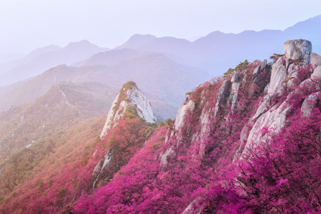 Colorful,Autumn,Of,Mountain