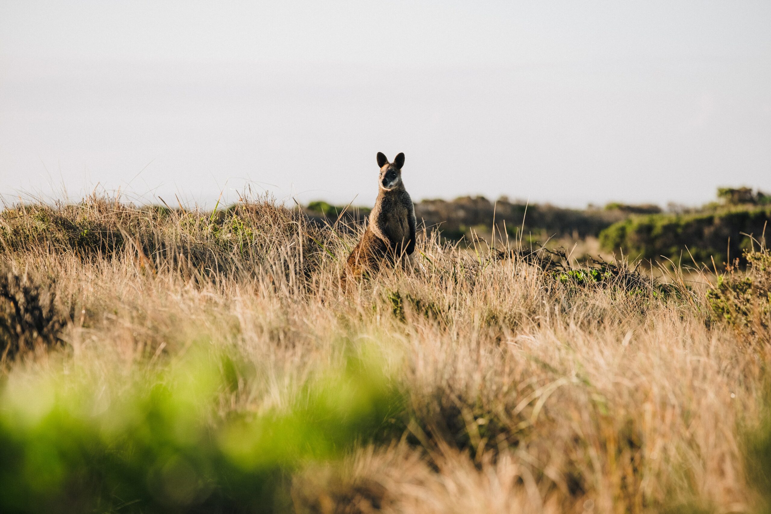 Au cœur de la nature