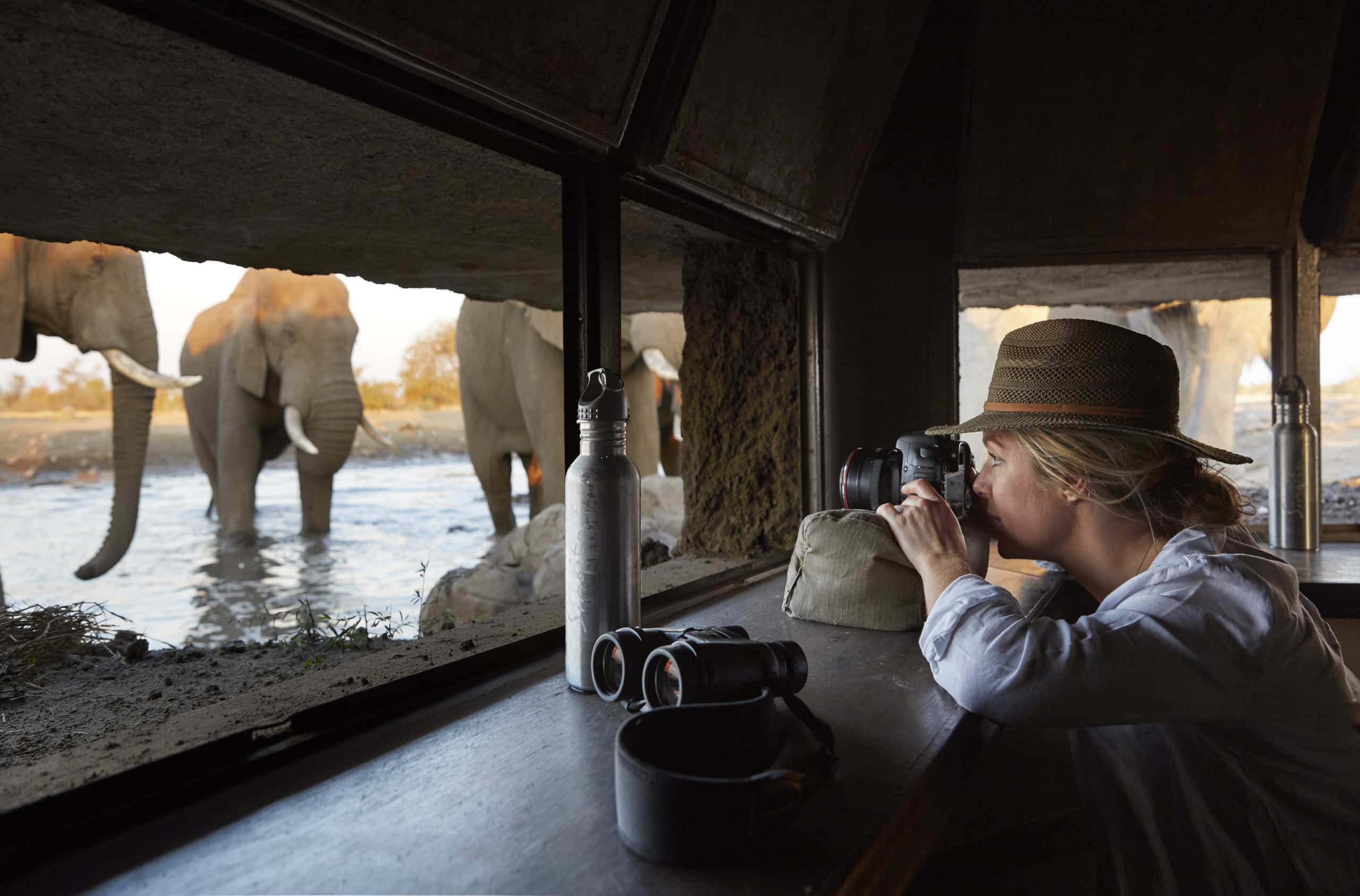 Observation faunistique au Pamushana Lodge au Zimbabwe.