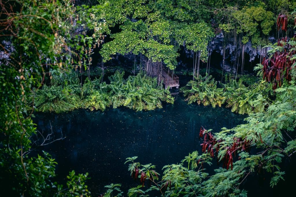 Parc écologique Ojos Indígenas République dominicaine