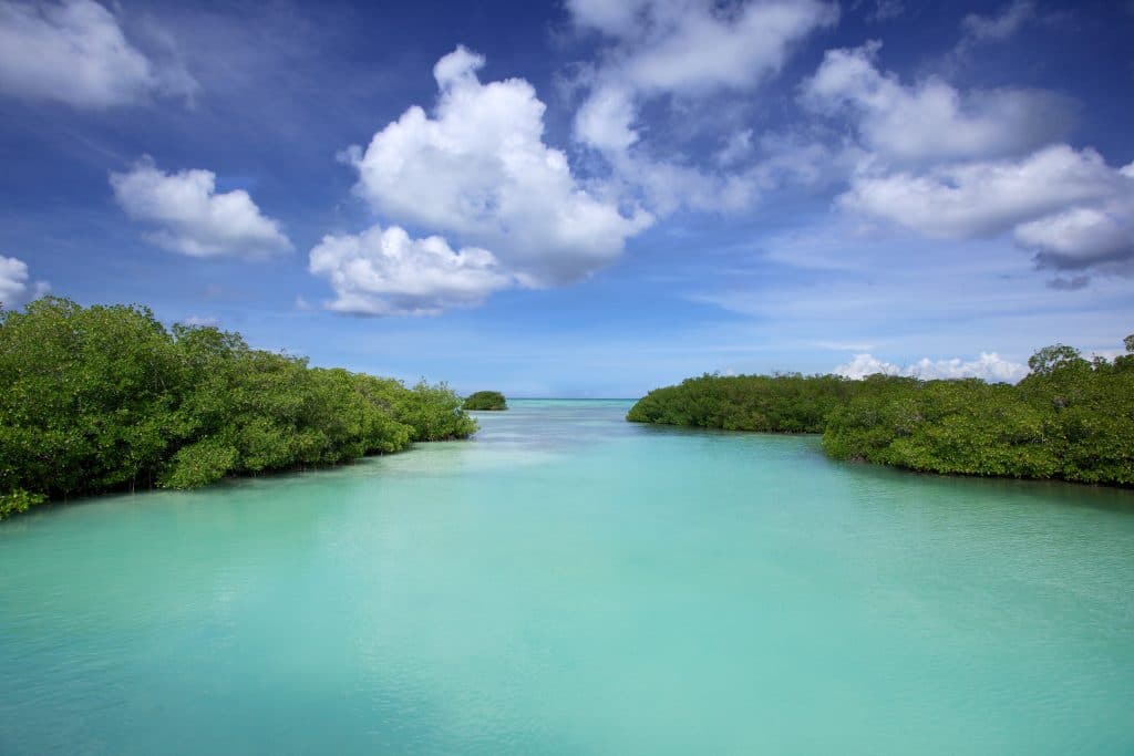 Canal,Of,Saona,Island,,,Del,Este,National,Park,,Dominican