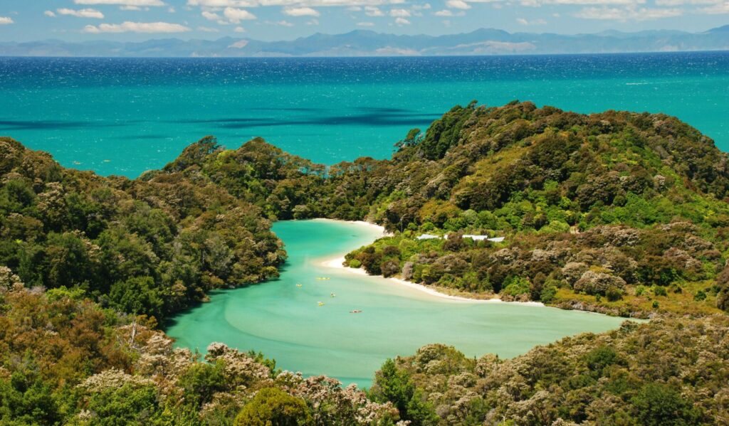 Active,Vacation,In,Abel,Tasman,National,Park,,New,Zealand