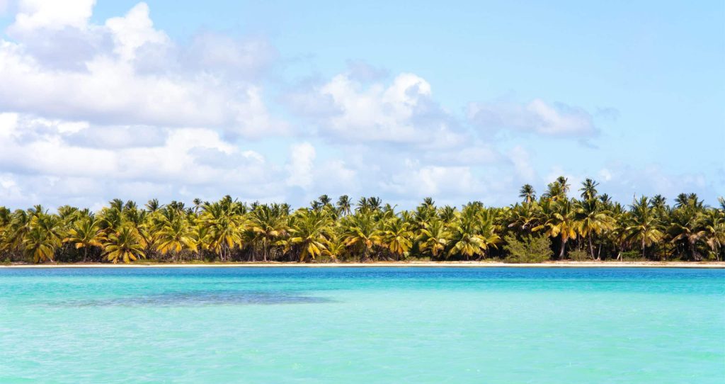 Caribbean,Sea,Scenery,On,Saona,Island,,Dominican,Republic