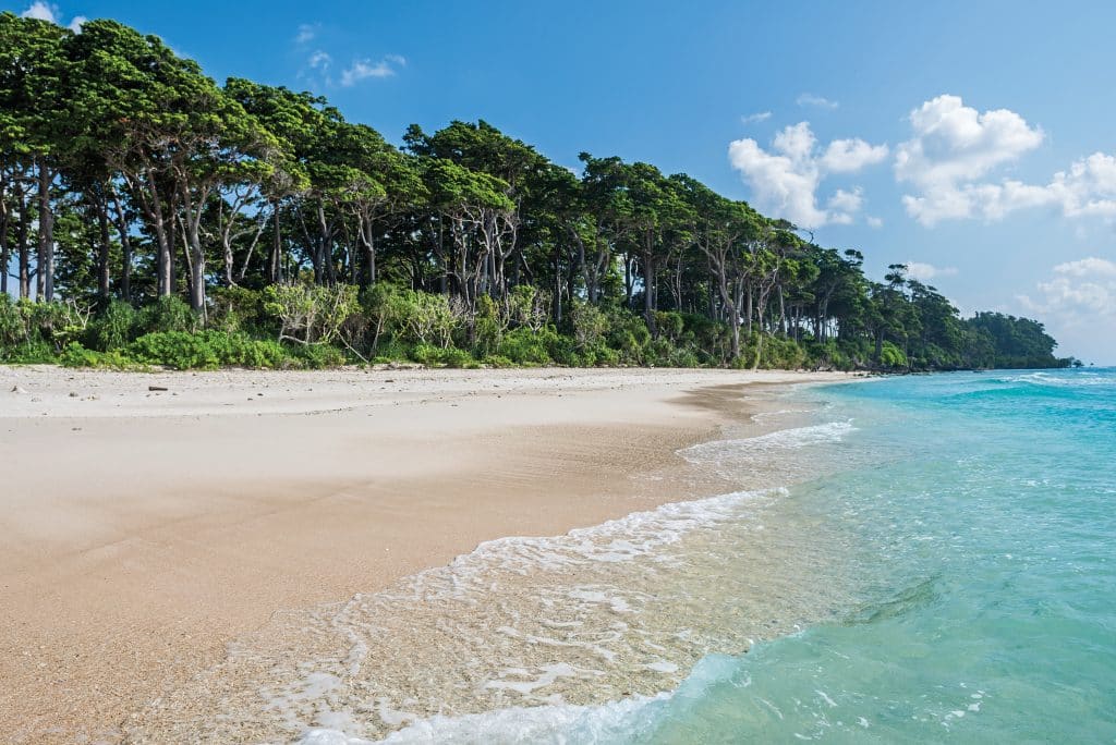 Turquoise,Water,Of,Sea,At,Laxmanpur,Beach,,Neil,Island,,Andaman
