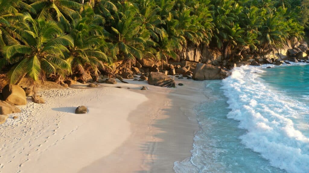 Plage tropicale des seychelles