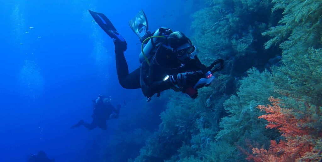 Scuba,Diver,Photographer,With,Camera,And,Light,On,The,Coral
