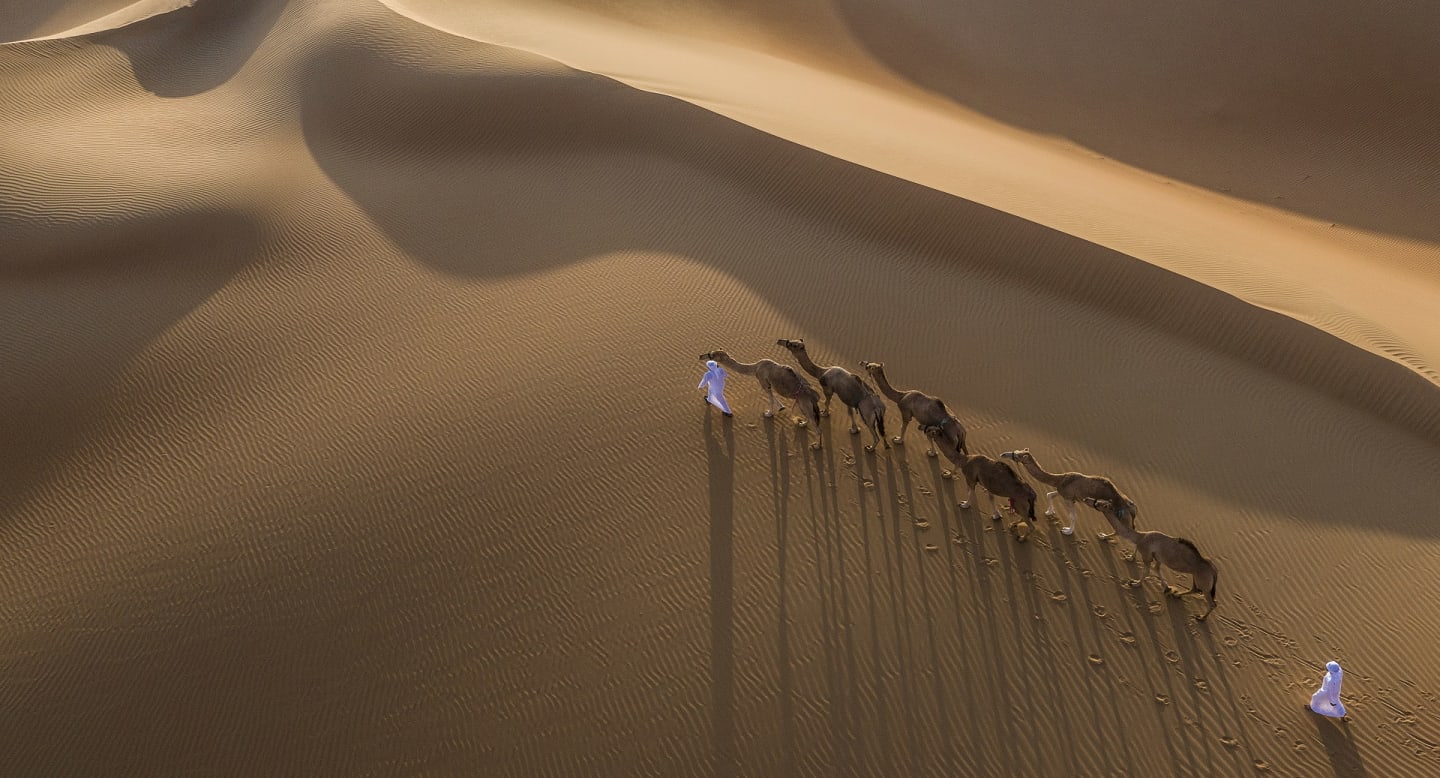 Qasr al sarab Abu Dhabi désert dromadaire