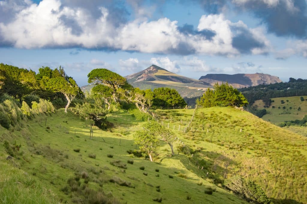 Landscape,On,Saint,Helena,Island,In,The,Middle,Of,The