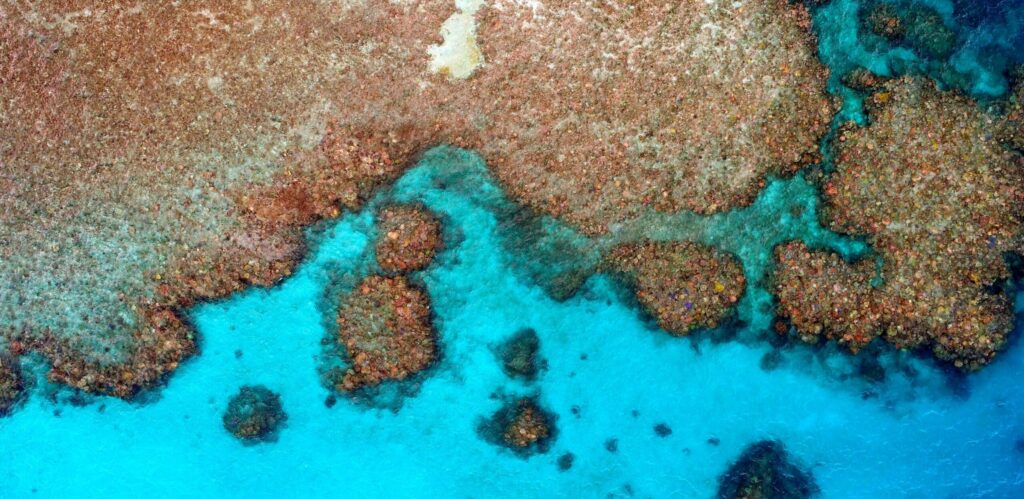 Recif grande barriere corail australie