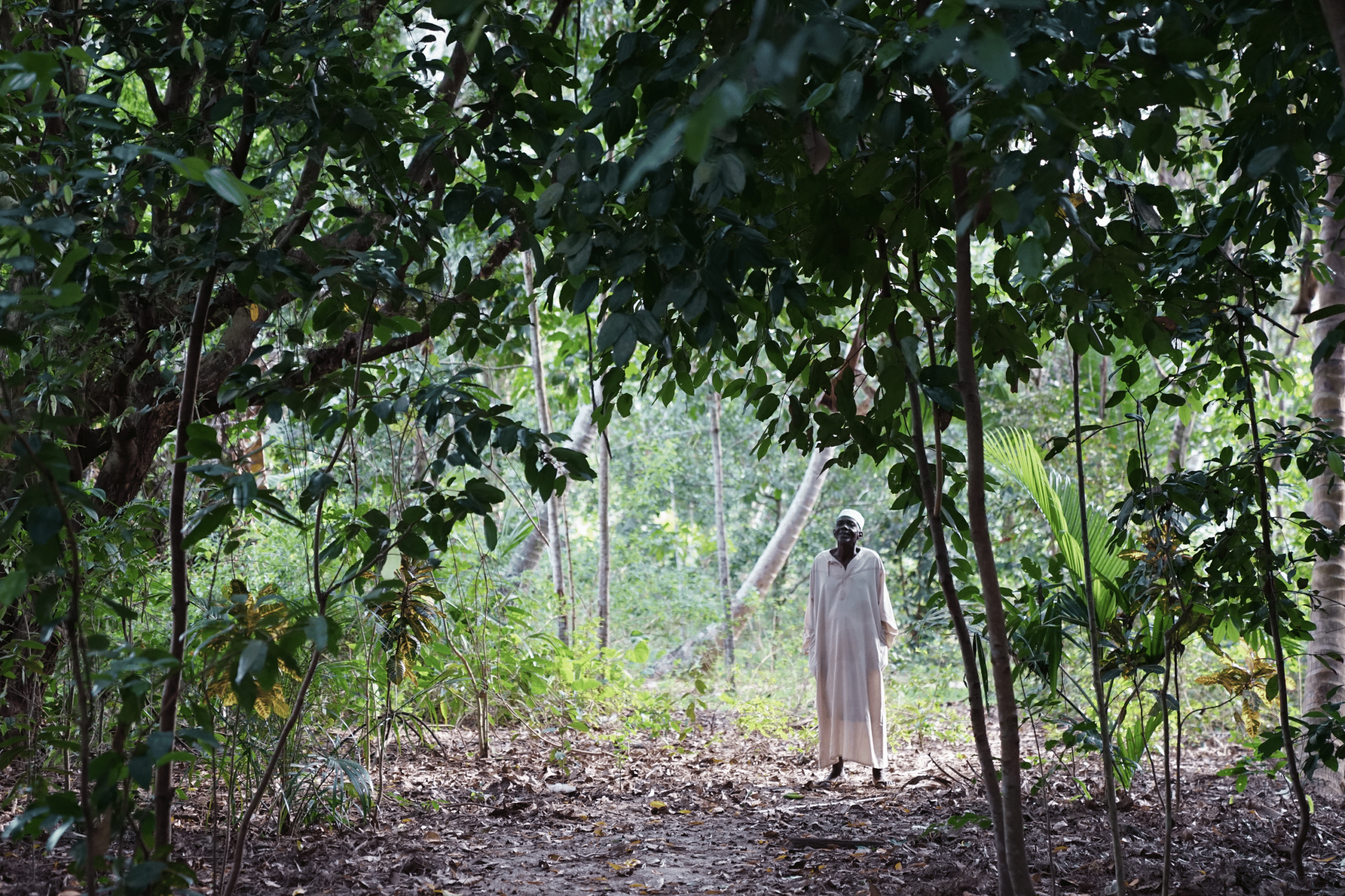 Mystères et légendes de Pemba