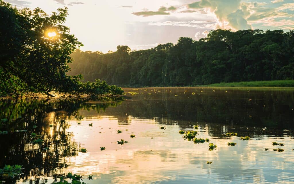 Rio Negro fleuve Amazonie Brésil